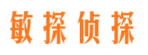 卢湾市侦探公司